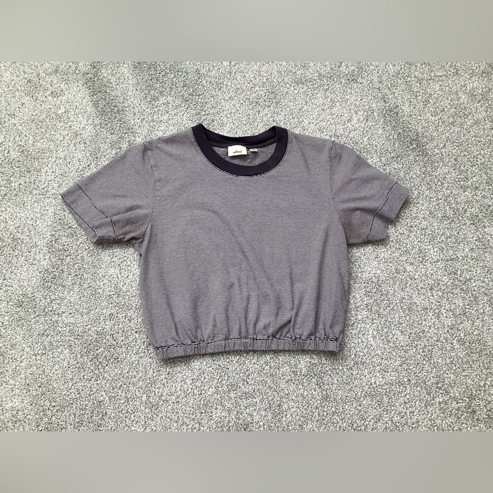 Aritzia Wilfred Piaf Cropped T-Shirt